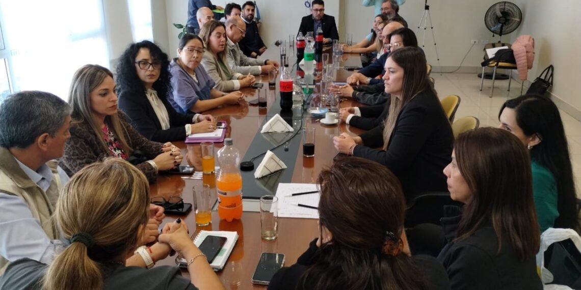 Profesionales exigen controles más estrictos contra el ejercicio ilegal de las profesiones