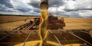 El Gobierno restablece retenciones a la soja y el maíz y extiende la rebaja al trigo y la cebada hasta marzo de 2026