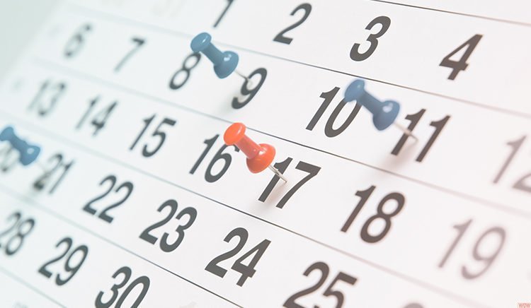 Feriados 2025: cuándo es el próximo fin de semana largo