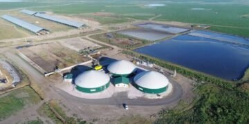 Tether pisa fuerte en el agro argentino: compró Adecoagro y apunta a nuevas adquisiciones