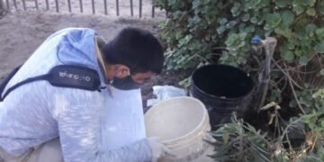 Control focal contra el dengue en barrios de la Capital