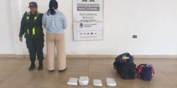 Detuvieron a una mujer que transportaba más de 4 kilos de marihuana ocultos en su equipaje