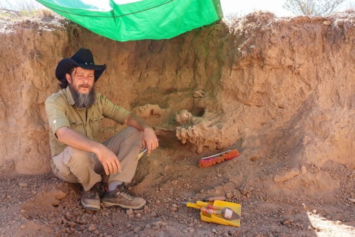 Hallazgo de restos de un mylodon en Aconquija, una huella del Pleistoceno en Catamarca
