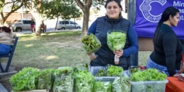 Tarde de Mercado Itinerante y Municipio en tu Barrio en la plaza de Villa Cubas