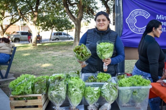 Tarde de Mercado Itinerante y Municipio en tu Barrio en la plaza de Villa Cubas
