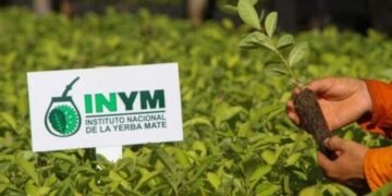 El nuevo rol del Instituto de la Yerba Mate: alineamiento ideológico y un mercado sin árbitro