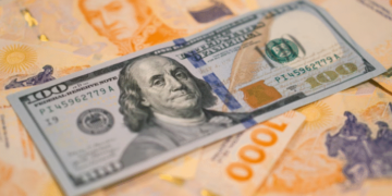 Dólar: a cuánto cotizan el oficial y las otras opciones cambiarias este lunes 19 de enero