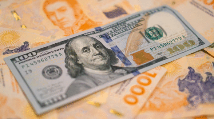 Dólar: a cuánto cotizan el oficial y las otras opciones cambiarias este lunes 19 de enero