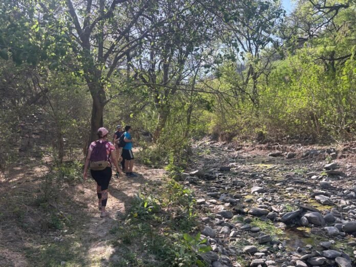 Imperdible propuesta en vacaciones: descubrir Catamarca a través de sus montañas