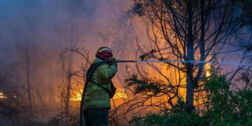 Sin pruebas, el Gobierno acusa a grupos mapuches por los incendios pero la justicia lo desmiente