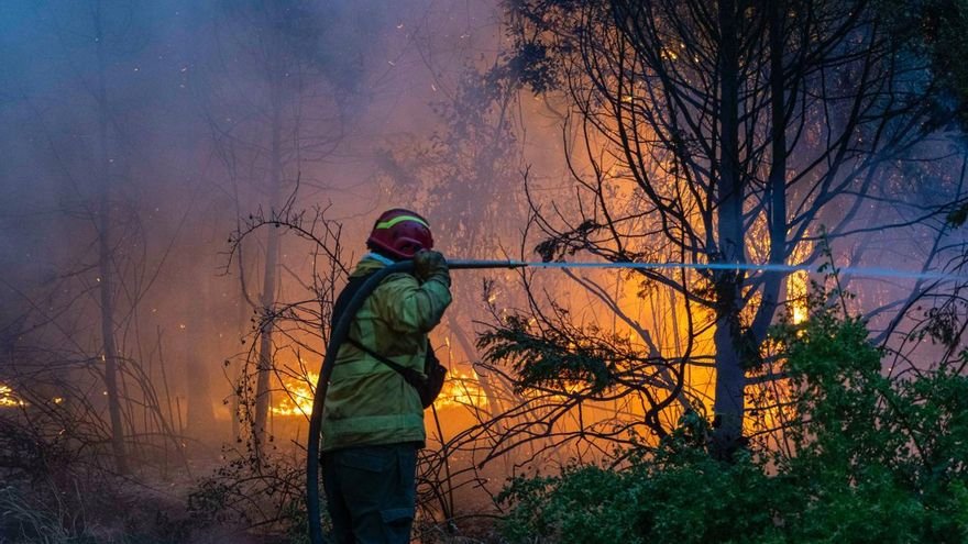 Sin pruebas, el Gobierno acusa a grupos mapuches por los incendios pero la justicia lo desmiente