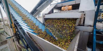 Catamarca registró más de 320 millones de dólares en exportaciones en los primeros meses del año