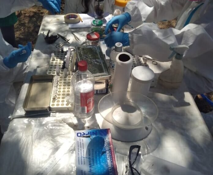 CONICET y Salud encabezan una investigación sobre Hantavirus en la provincia