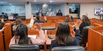 El Senado dio media sanción a iniciativas vinculadas a políticas sociales, deporte y reconocimiento comunitario