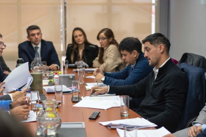 La Comisión de Minería profundizó el tratamiento de la reforma de CAMYEN