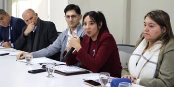 Ministros de Salud del Norte Grande acordaron acciones conjuntas para garantizar las prestaciones de Incluir Salud