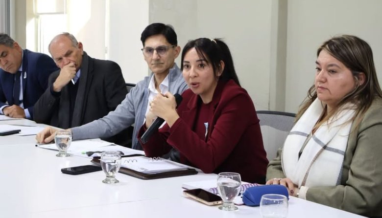 Ministros de Salud del Norte Grande acordaron acciones conjuntas para garantizar las prestaciones de Incluir Salud