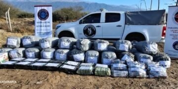 Policía incineró 792 kg de hojas de coca secuestradas en procedimientos de 2025
