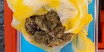 Secuestran marihuana durante un control en el Puesto Caminero El Portezuelo