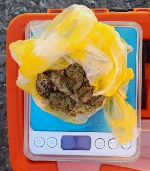 Secuestran marihuana durante un control en el Puesto Caminero El Portezuelo