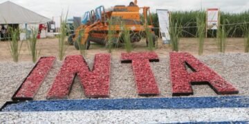 Un informe del INTA alertó que el ajuste provocó la pérdida de personal clave en el organismo
