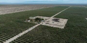 Con un alza del 118,7%, Catamarca lideró el crecimiento de las exportaciones a nivel nacional