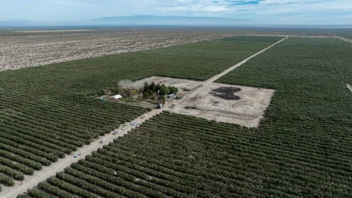 Con un alza del 118,7%, Catamarca lideró el crecimiento de las exportaciones a nivel nacional