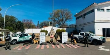 Descubren más de 77 kilos de marihuana y un kilo de cocaína ocultos en las ruedas de un camión