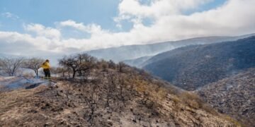 El incendio en El Rodeo permanece contenido y bajo monitoreo permanente