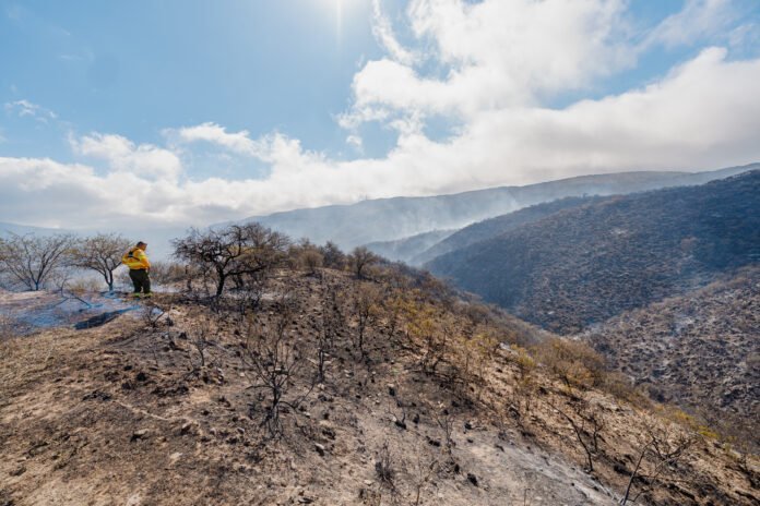 El incendio en El Rodeo permanece contenido y bajo monitoreo permanente