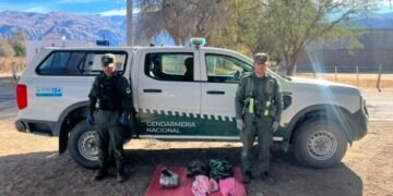 Gendarmería secuestró más de 17 kilos de marihuana durante controles a colectivos