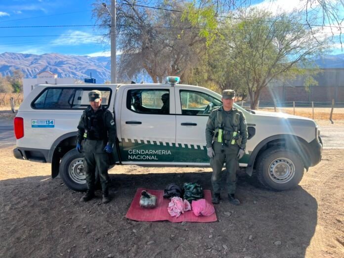 Gendarmería secuestró más de 17 kilos de marihuana durante controles a colectivos
