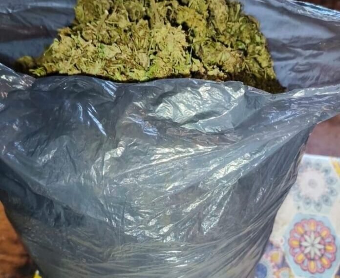 Incautaron más de un kilo de marihuana durante un procedimiento policial en Ancasti
