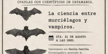 Murciélagos y vampiros: el punto de encuentro entre ciencia y literatura