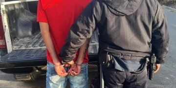 Tras un supuesto hecho de violencia de género personal policial aprehendió a un joven y secuestró plantines de Marihuana
