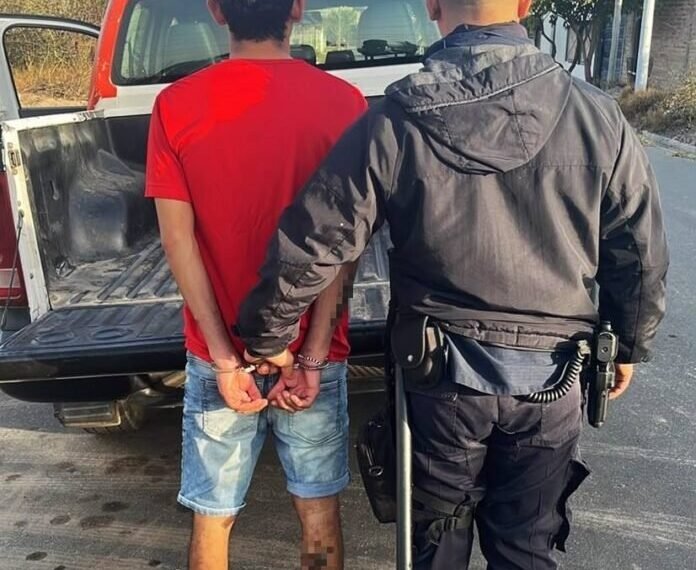 Tras un supuesto hecho de violencia de género personal policial aprehendió a un joven y secuestró plantines de Marihuana