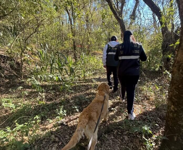 Canes de Catamarca colaboraron en la búsqueda de un joven desaparecido en Jujuy