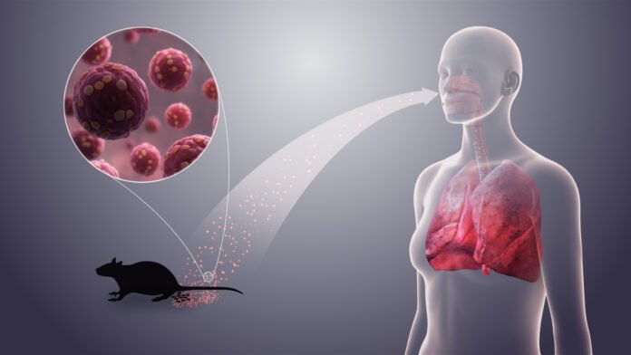 Detectaron roedores silvestres portadores de hantavirus en Santa Rosa