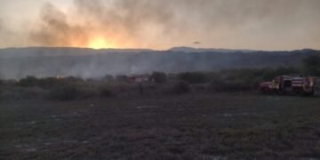 Incendio en Ruta N° 1: despliegan un importante operativo