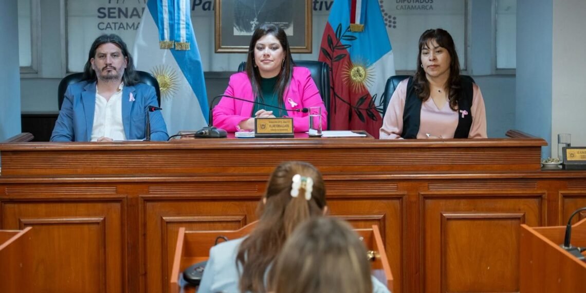 El Senado avanzó con iniciativas para prevenir riesgos climáticos y mejorar la seguridad vial
