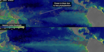 La NASA detectó señales de un posible Súper El Niño que podría alterar el clima mundial