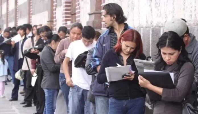 Más de 2.000 ofertas de empleo para fin de año en Argentina