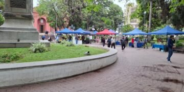 Reordenamiento de feriantes en la Plaza 25 de Mayo: algunos puestos fueron reubicados en la Alameda