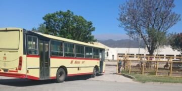 Retiraron cuatro colectivos de la línea 104 por el mal estado