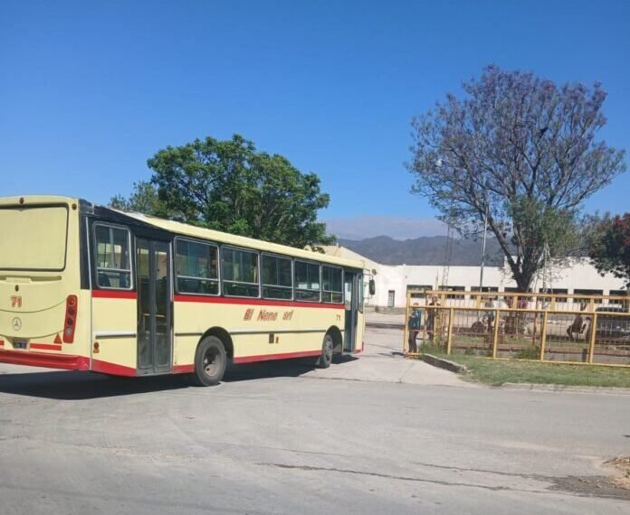 Retiraron cuatro colectivos de la línea 104 por el mal estado